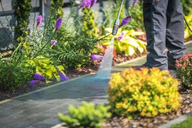Best Sidewalk and Walkway Cleaning  in Kearny, NJ